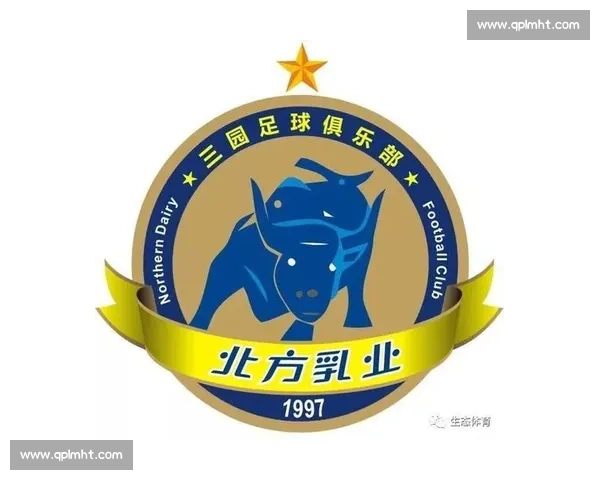 体育职业联赛发展趋势与俱乐部运营模式全面解析 体育职业联赛发展趋势与俱乐部运营模式全面解析